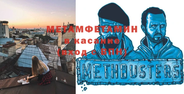 шишки Нязепетровск
