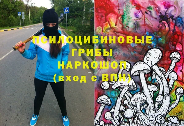 стафф Осташков