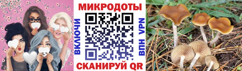 Купить  Чехов  Галлюциногенные грибы Psilocybe